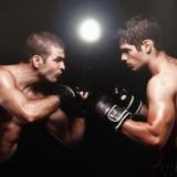 Boxer im Kampf