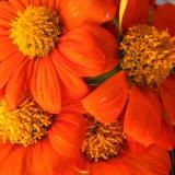 View user profile. Galatea's picture
