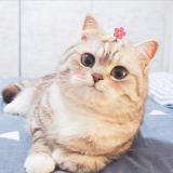 juironlwo's picture