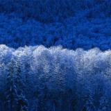 hajuemo1's picture