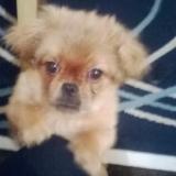 View user profile. karli tschei's picture