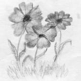 GrzegorzSobisz's picture